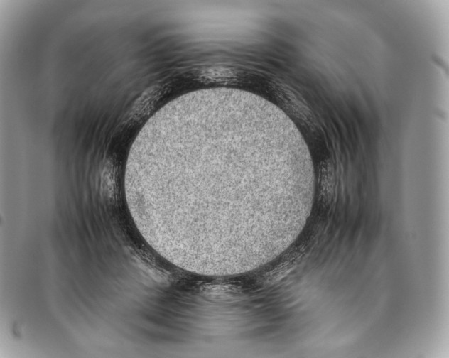 X0000095890408200802081122