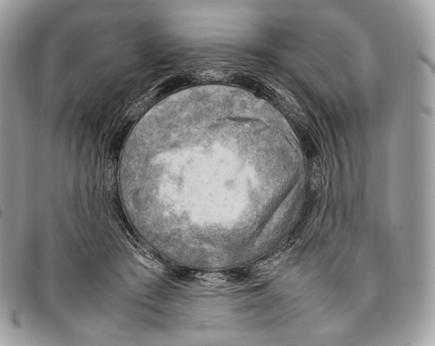 X0000095890409200802081122