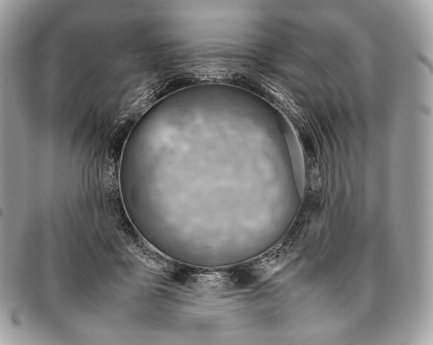 X0000095890411200802081122