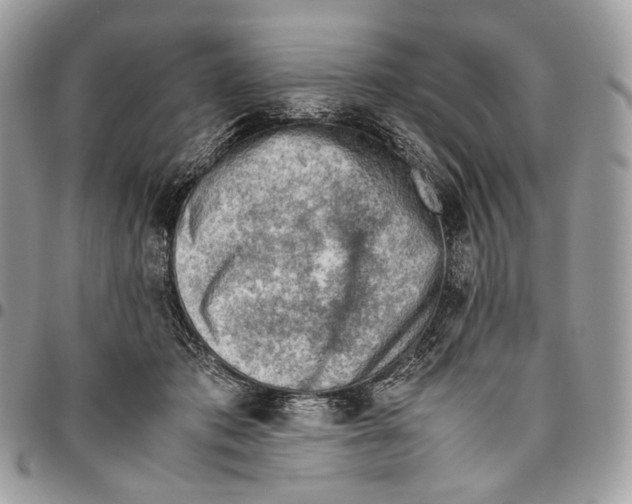 X0000095890413200802081122