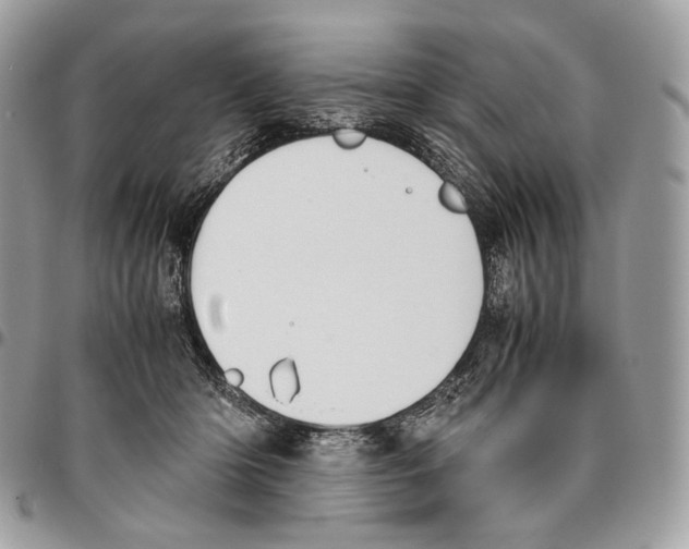 X0000095890414200802081122