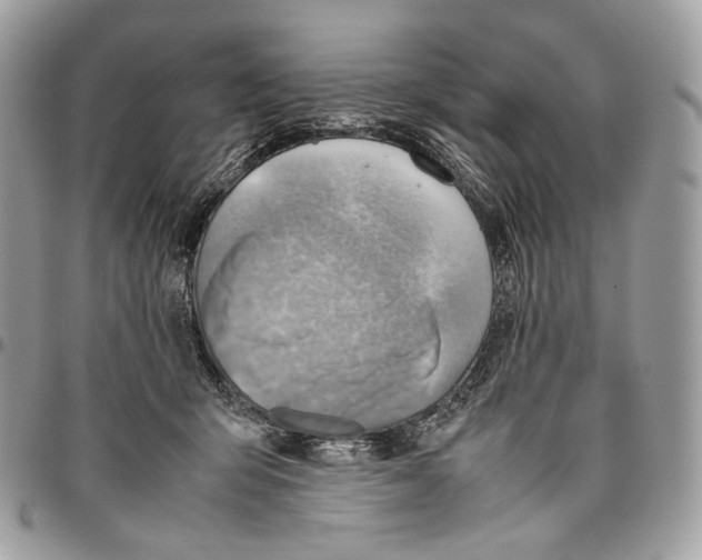 X0000095890415200802081122