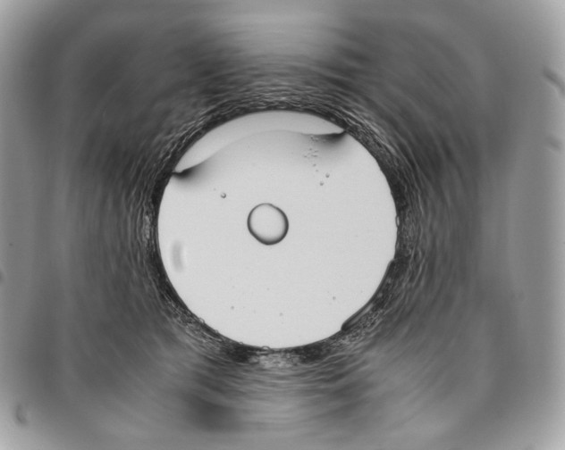 X0000095890417200802081122