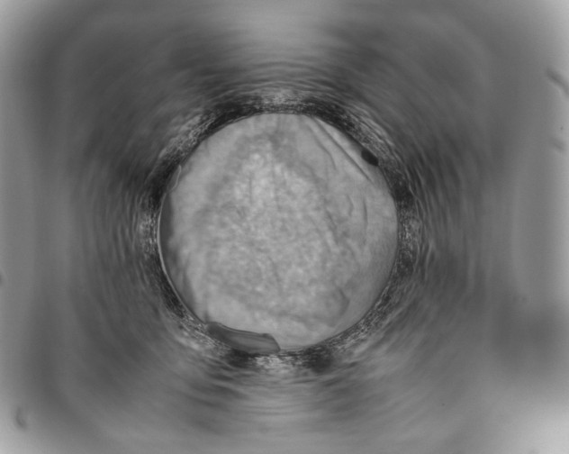 X0000095890419200802081122