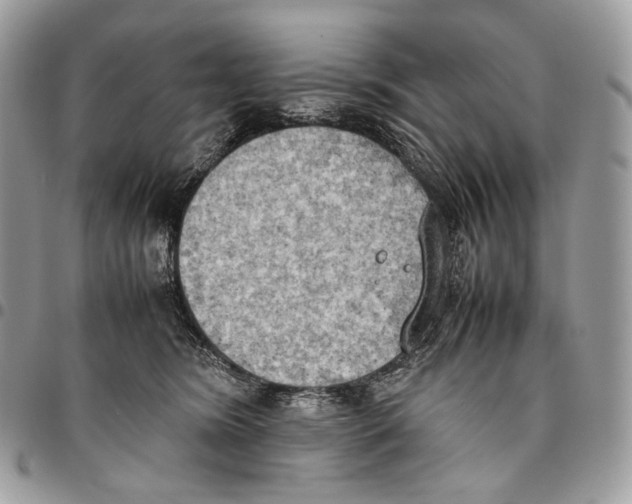 X0000095890420200802081122