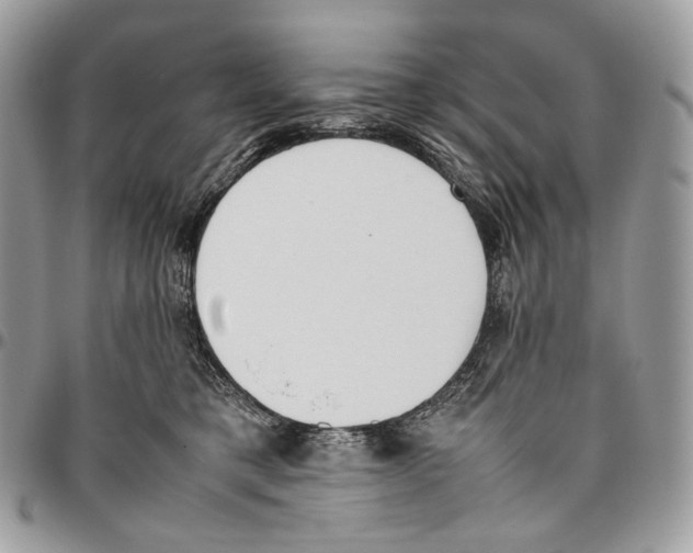 X0000095890421200802081122
