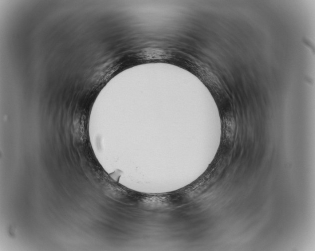 X0000095890422200802081122