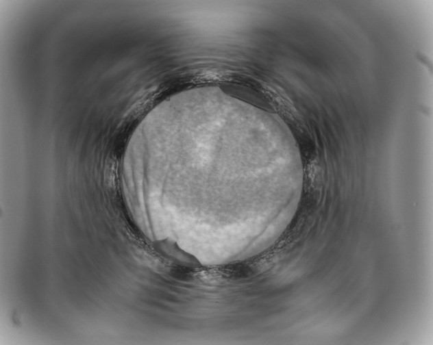 X0000095890423200802081122