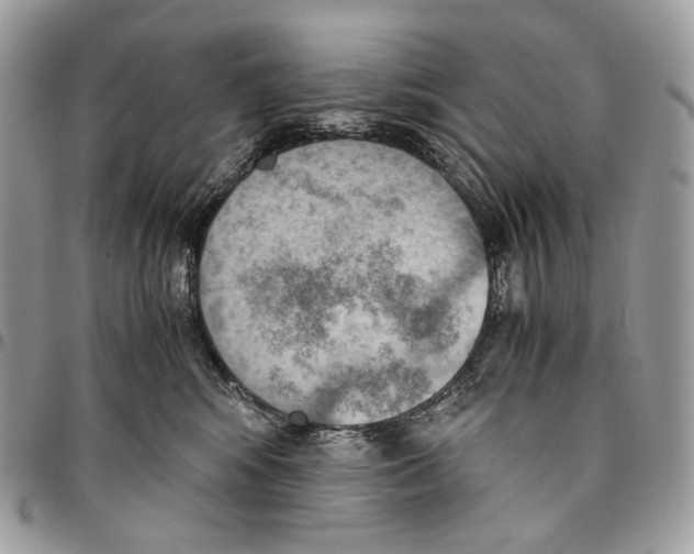 X0000095890424200802081122