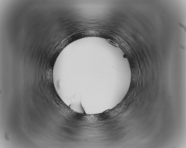 X0000095890425200802081122