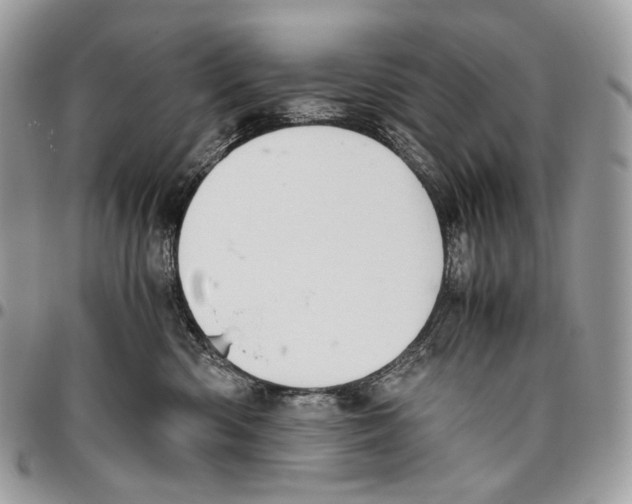 X0000095890426200802081122