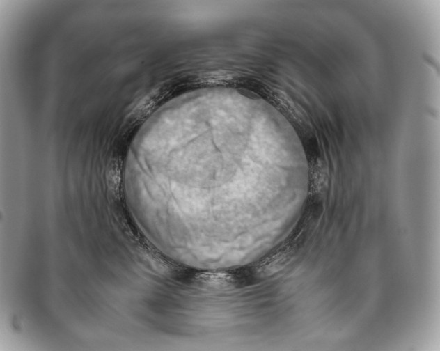 X0000095890427200802081122