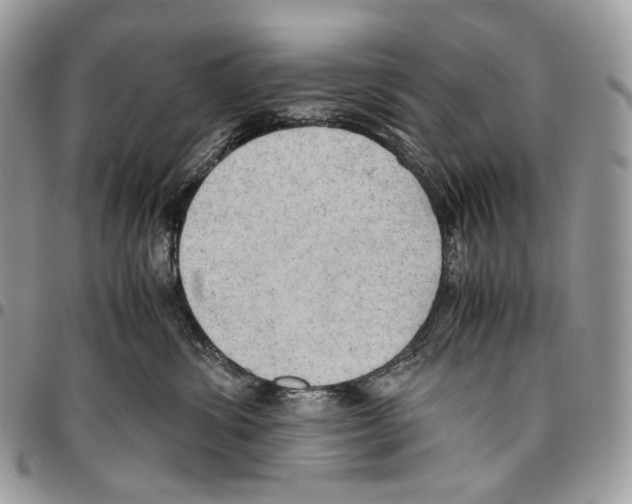 X0000095890428200802081122