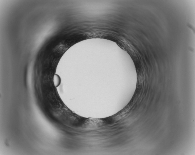 X0000095890429200802081122
