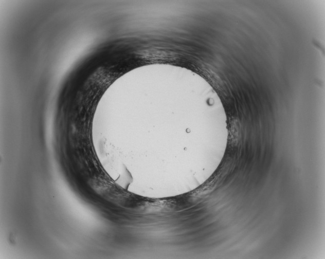 X0000095890430200802081122