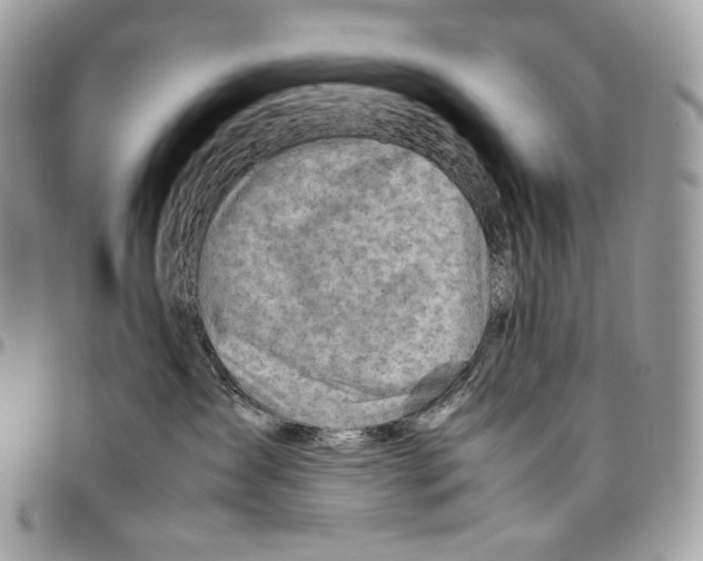X0000095890431200802081122