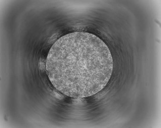 X0000095890432200802081122