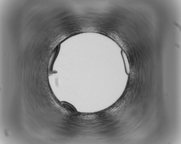 X0000095890433200802081121