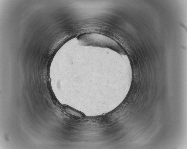 X0000095890434200802081121