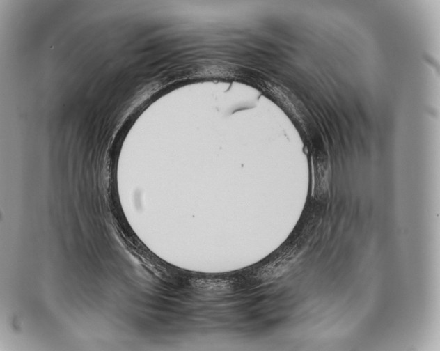 X0000095890435200802081121