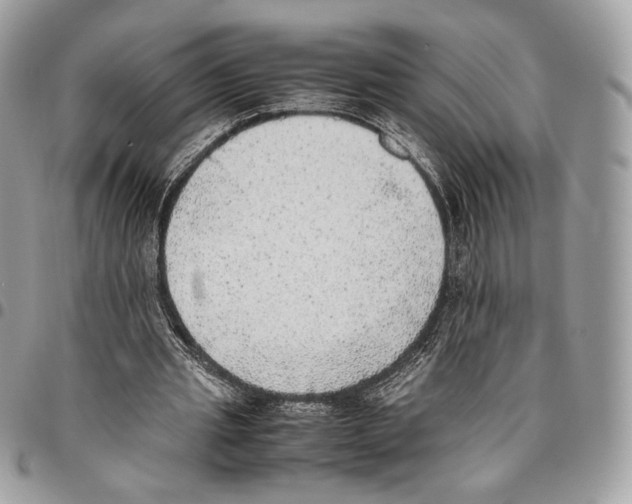 X0000095890437200802081121