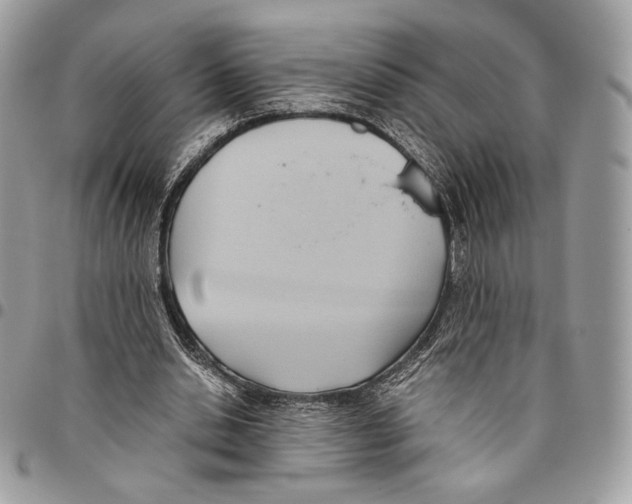 X0000095890438200802081121