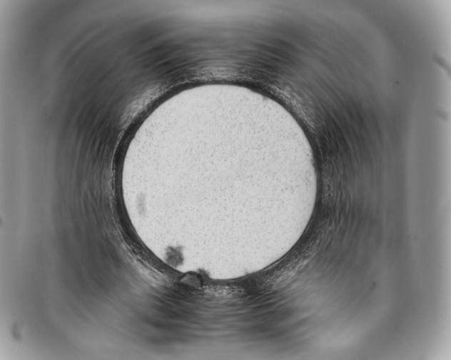 X0000095890439200802081121