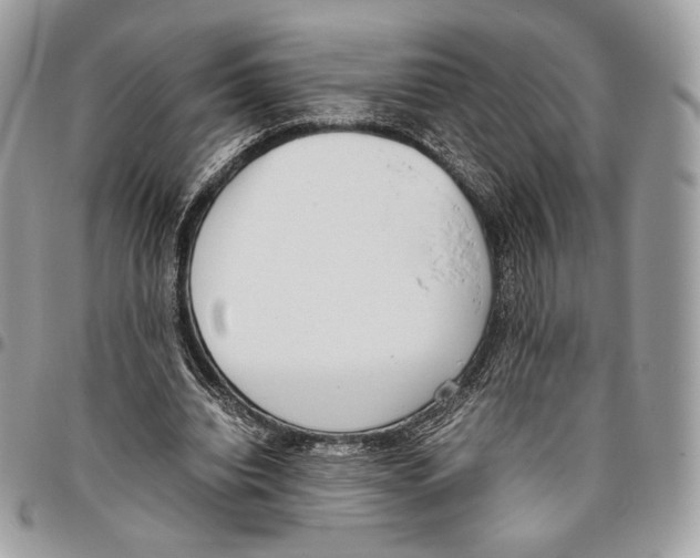 X0000095890440200802081121