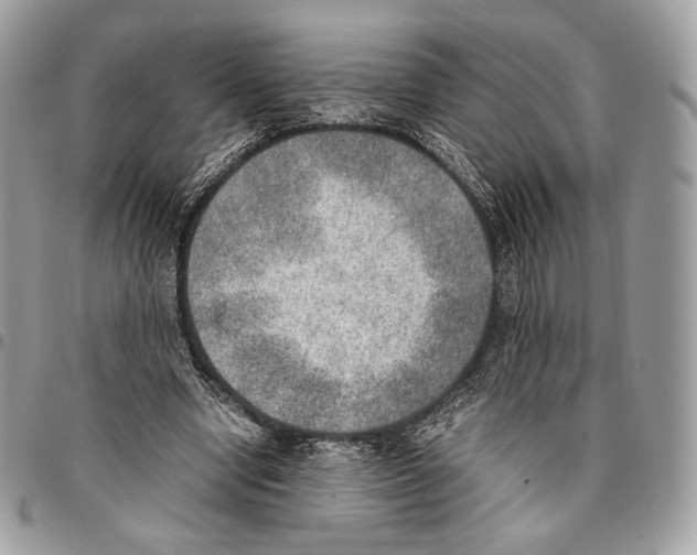 X0000095890442200802081121