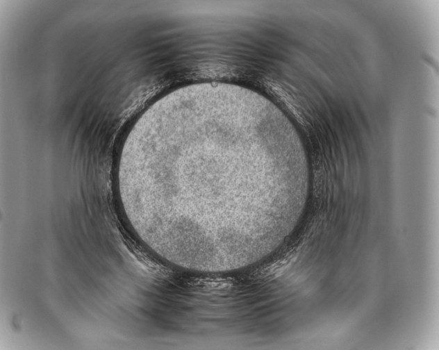 X0000095890443200802081121