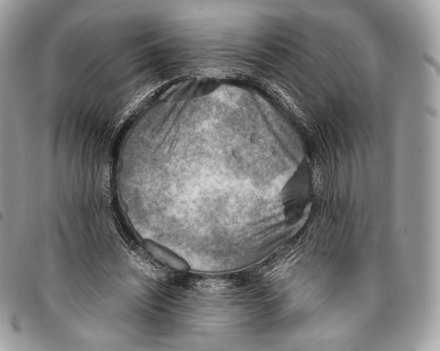 X0000095890444200802081121