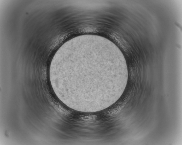 X0000095890447200802081121