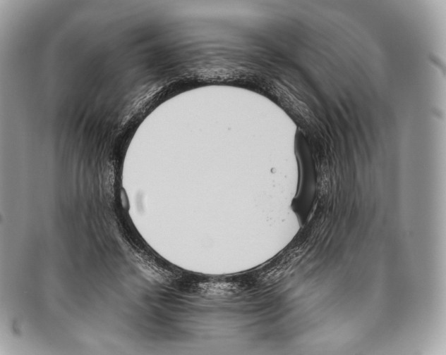 X0000095890448200802081121