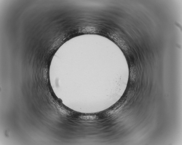 X0000095890449200802081121