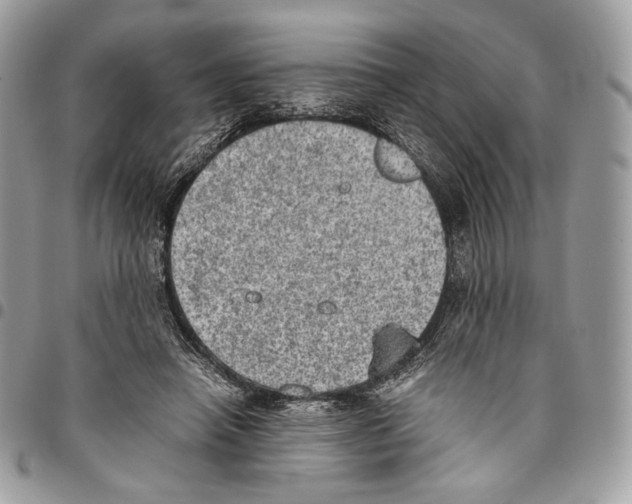 X0000095890450200802081121
