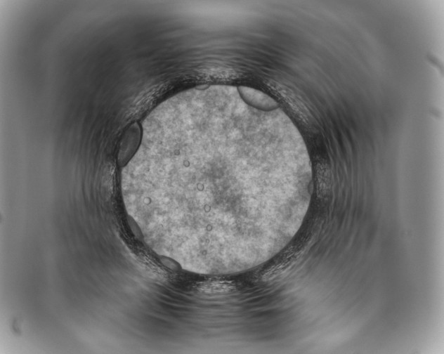 X0000095890451200802081121