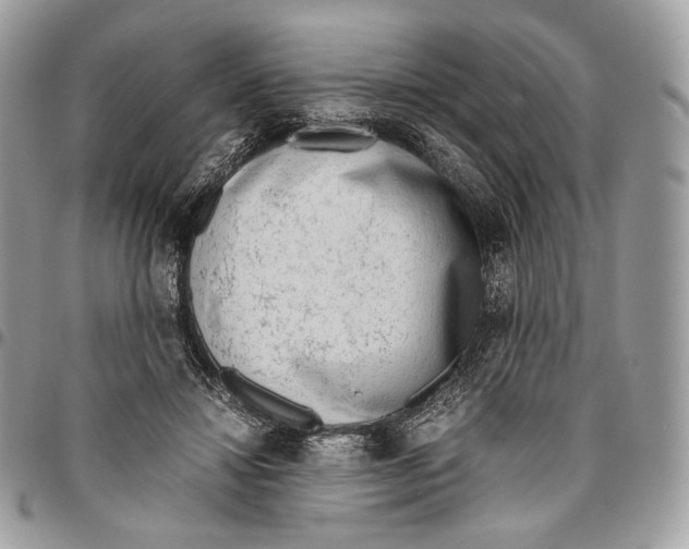 X0000095890452200802081121