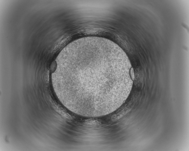 X0000095890454200802081121