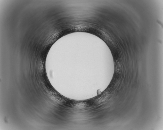 X0000095890456200802081121