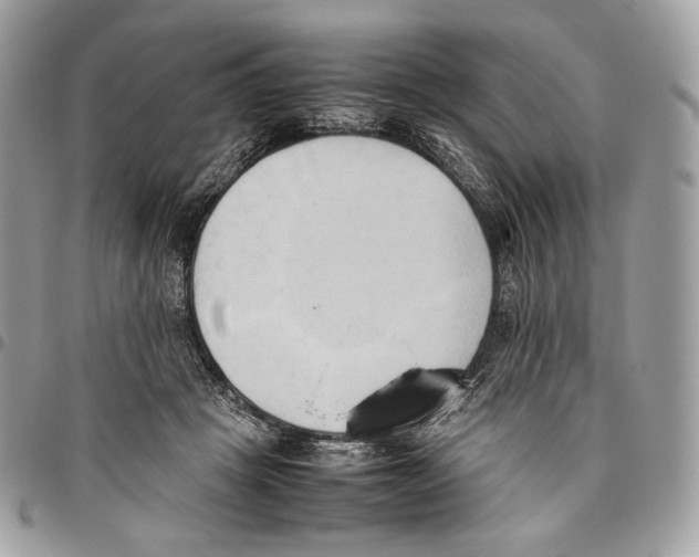 X0000095890457200802081121