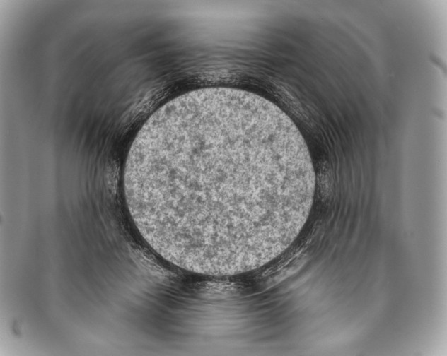 X0000095890458200802081121