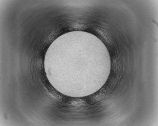 X0000095890459200802081121