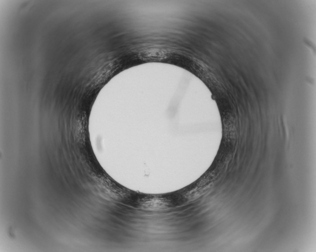 X0000095890460200802081121