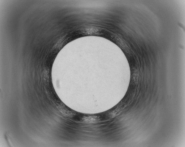 X0000095890461200802081121
