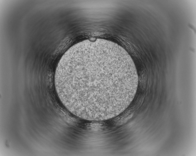 X0000095890462200802081121