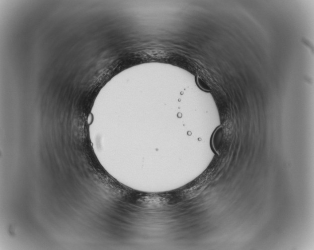 X0000095890464200802081121
