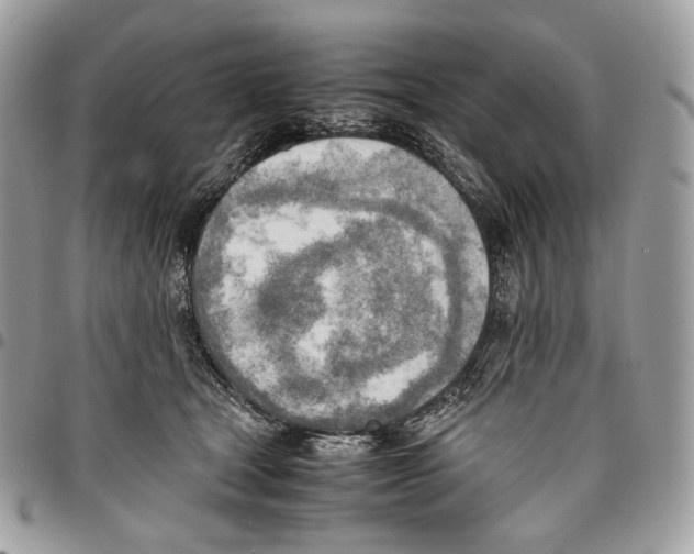 X0000095890465200802081121