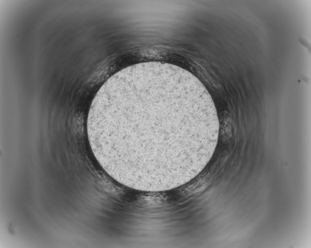 X0000095890466200802081121