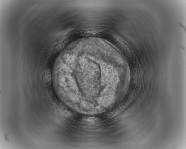 X0000095890467200802081121