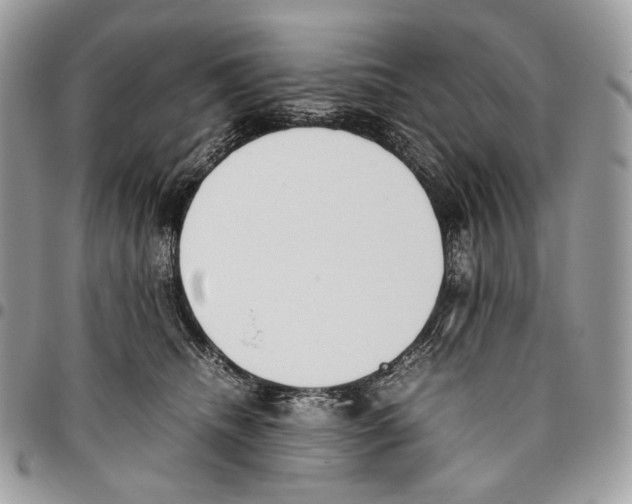 X0000095890468200802081121